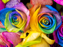 Load image into Gallery viewer, Stop and smell the roses