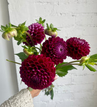 Load image into Gallery viewer, FLOWER MARKET SPECIALS
