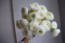 Load image into Gallery viewer, FLOWER MARKET SPECIALS
