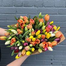 Load image into Gallery viewer, Tulip Bunches
