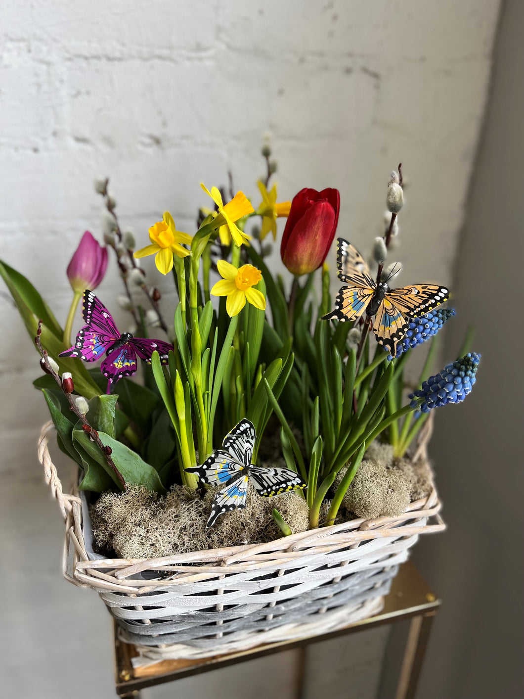 Spring Is Here