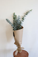 Load image into Gallery viewer, Eucalyptus bunch
