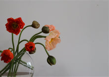 Load image into Gallery viewer, Poppies
