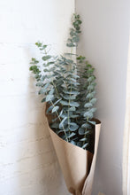 Load image into Gallery viewer, Eucalyptus bunch
