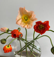 Load image into Gallery viewer, Poppies
